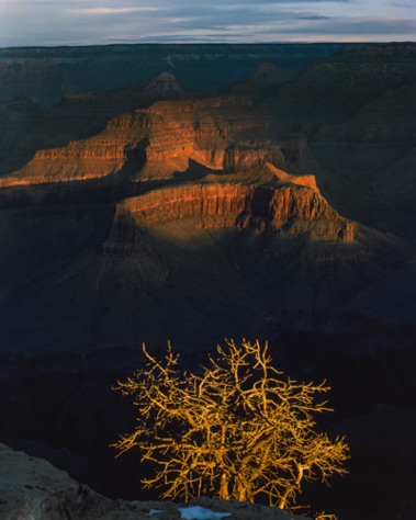 Winter Dawn at the Grand Canyon